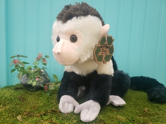 Monkey Plush From Rogue River Florist, Grant's Pass Flower Delivery